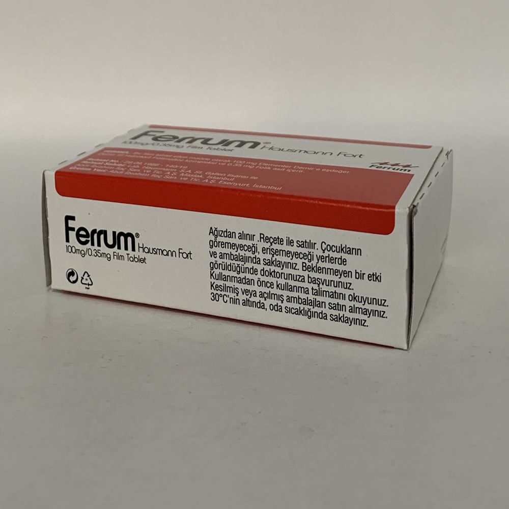ferrum-hausmann-fort-2020-fiyati