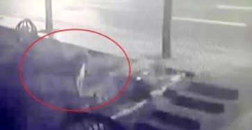 Ankara'da eşi benzerine az rastlanır olay! Aslan kafesinden kaçtı, bahçelerinde görünce büyük korku yaşadılar: Önüne çıkanı parçalardı