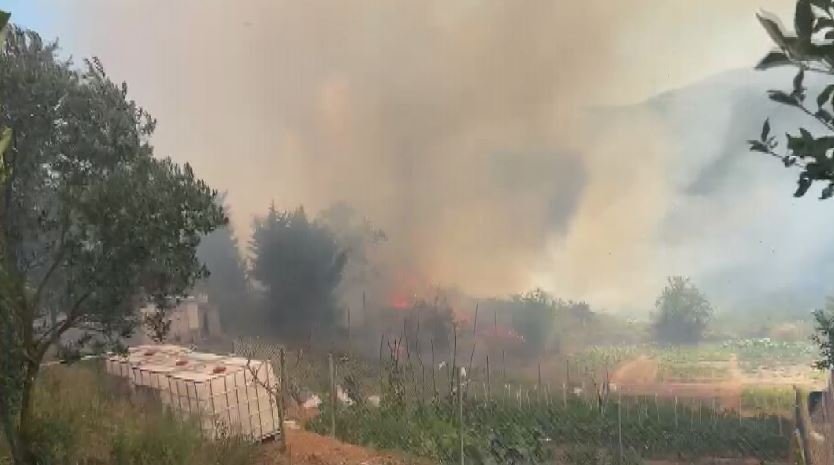 İstanbul'da Orman Yangını!