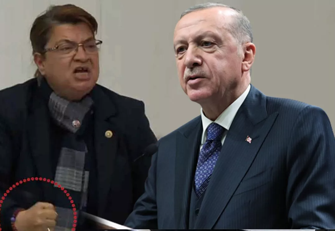 Meclis kürsüsüne vura vura konuşmuştu! Cumhurbaşkanı Erdoğan'dan sert tepki